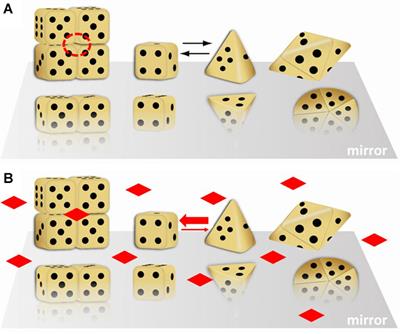 Wrangling Shape-Shifting Morpheeins to Tackle Disease and Approach Drug Discovery